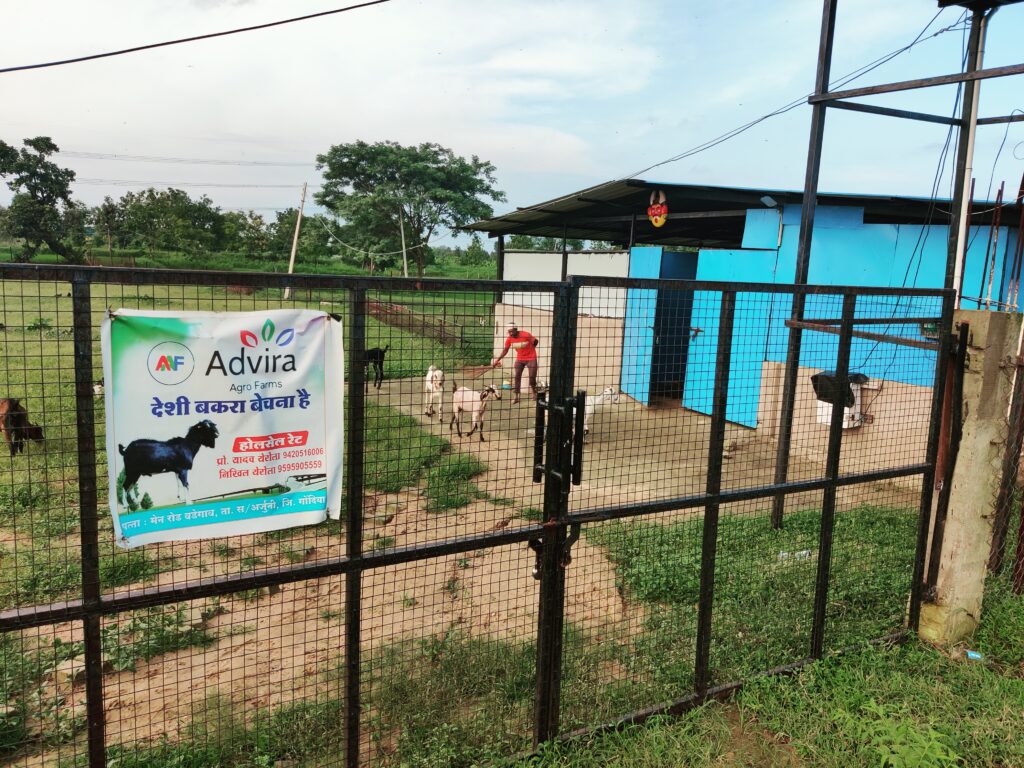 advira-agro-farms-goat-farm-entrance-gondia-mh.jpg